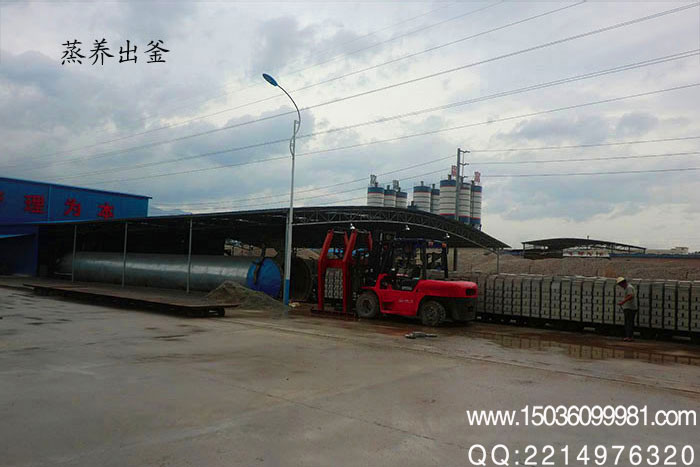 廣州灰砂蒸養(yǎng)磚設備